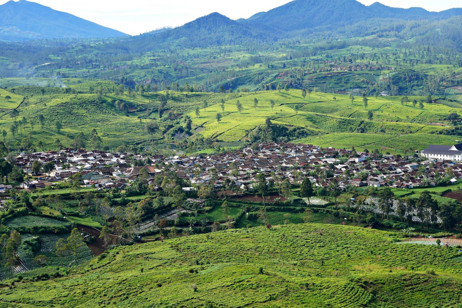Sewa Hiace nyaman perjalanan ke Dieng, cocok untuk grup keluarga atau wisata dengan fasilitas AC dan ruang luas